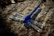 glass dragonfly